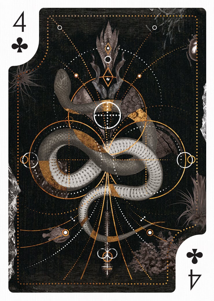 Card by Adam McCausland