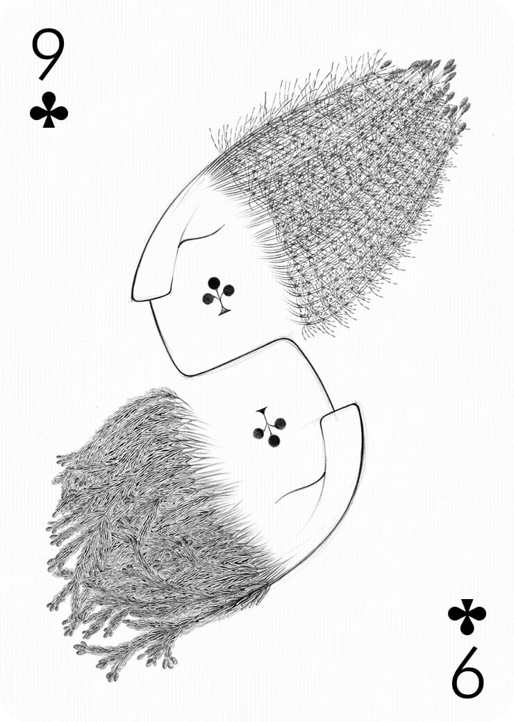 Card by Laimutė Varkalaitė