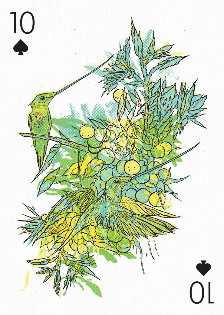 Card by Bicicleta Sem Freio